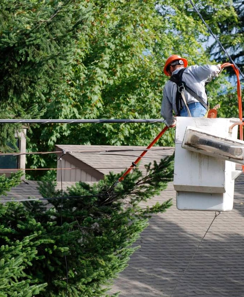 Worker in bucket lift trimming trees near power lines