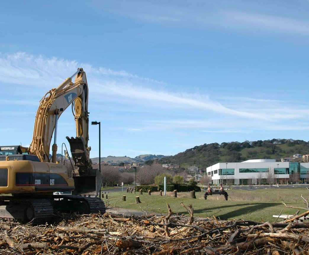 Hands in yellow gloves trimming green hedge with manual shears