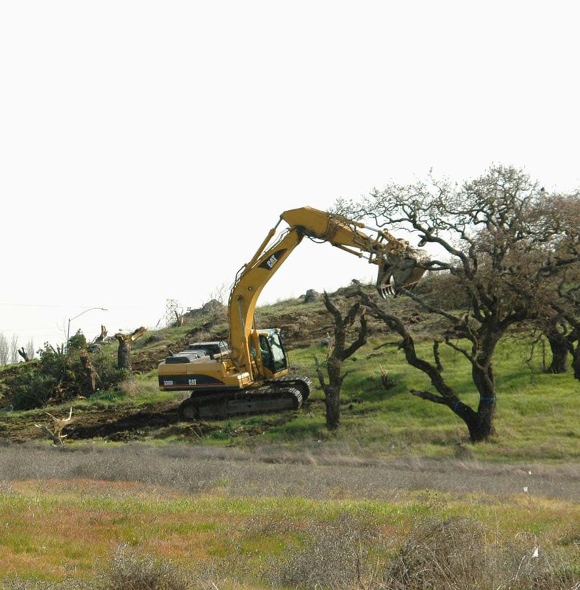 CAT excavator removing gnarled tree from hillside near power lines