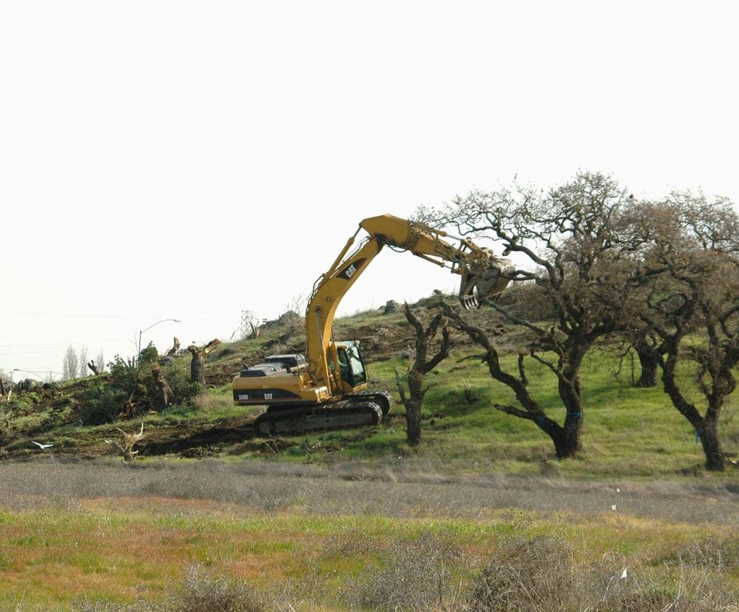 Hands in yellow gloves trimming green hedge with manual shears