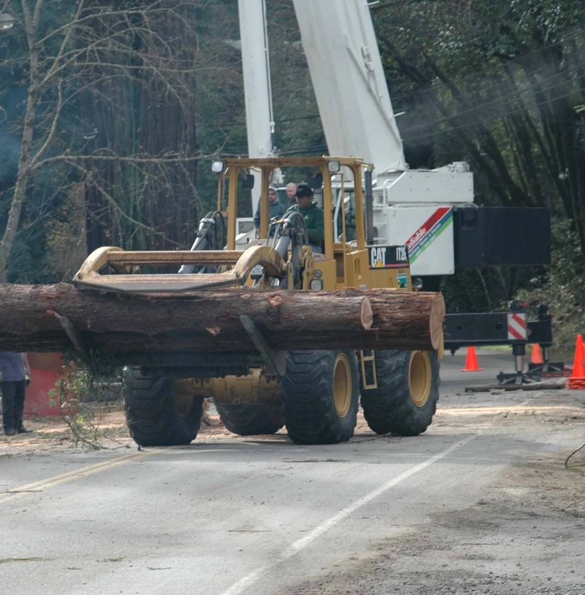 Heavy loader transporting large tree logs on residential street with cones
