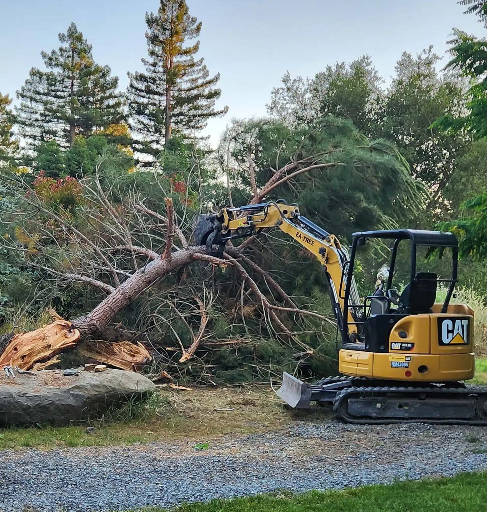 Yellow excavator removing fallen tree debris from residential property
