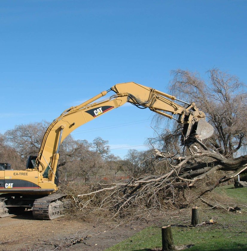 CAT excavator with grapple attachment clearing large pile of tree debris