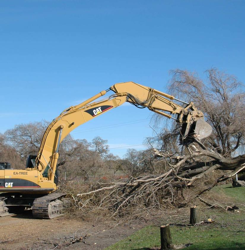 CAT excavator with grapple attachment clearing large pile of tree debris